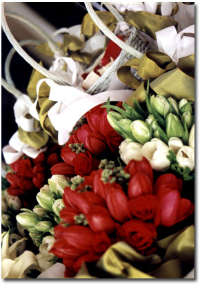 tulips©2001 Rosane Zenha