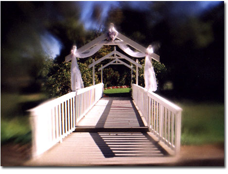 ceremony site©2001 Rosane Zenha